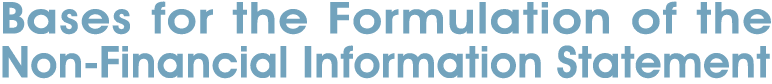 Bases for the Formulation of the Non Financial Information Statement