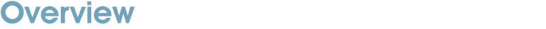 Overview