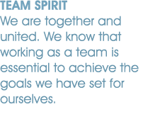 TEAM SPIRIT We are together and united. We know that working as a team is essential to achieve the goals we have set ...