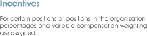 Incentives For certain positions or positions in the organization, percentages and variable compensation weighting ar...