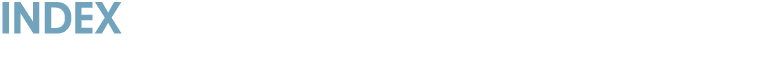 INDEX
