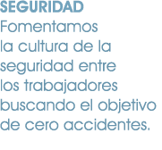 SEGURIDAD Fomentamos la cultura de la seguridad entre los trabajadores buscando el objetivo de cero accidentes.