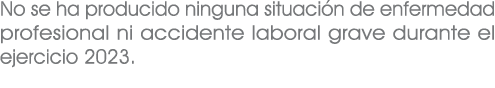 No se ha producido ninguna situaci n de enfermedad profesional ni accidente laboral grave durante el ejercicio 2023.