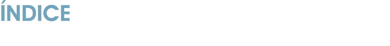  NDICE