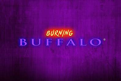 Burning-Buffalo - Link King - Slots Zitro Games